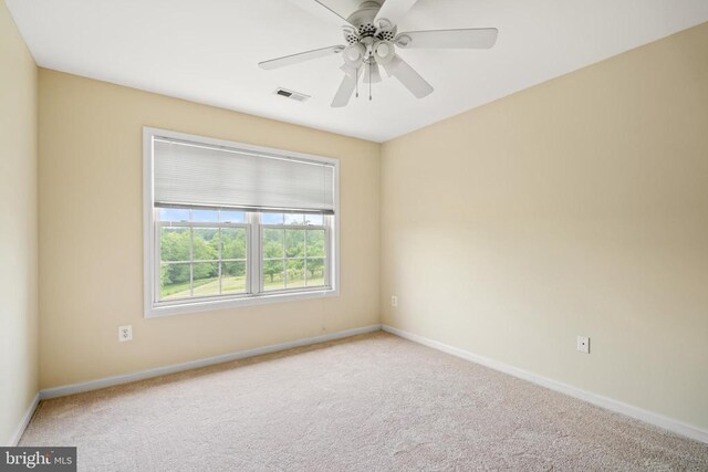 18370 Merrimac Rd S, Culpeper, VA 22701 - photo 14