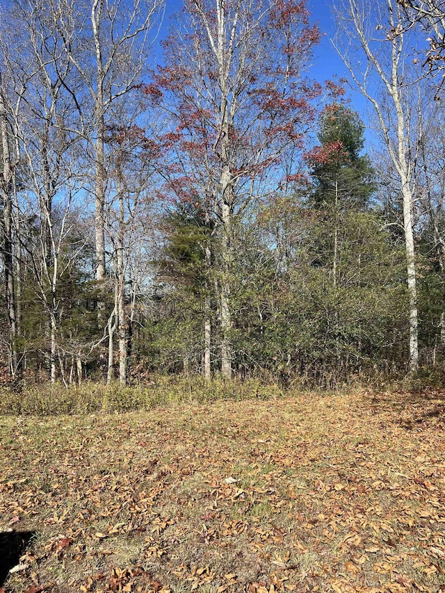 TBD Anderson Farm Rd, Rockbridge Baths VA, 24473 land for sale