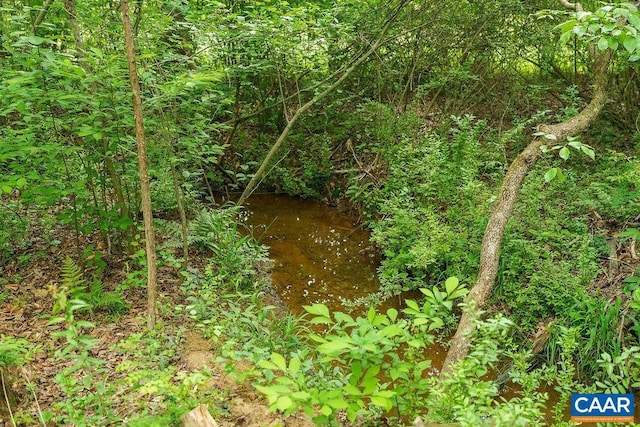 763 Findlay Mountain Rd, Shipman, VA 22971 - view of undeveloped land