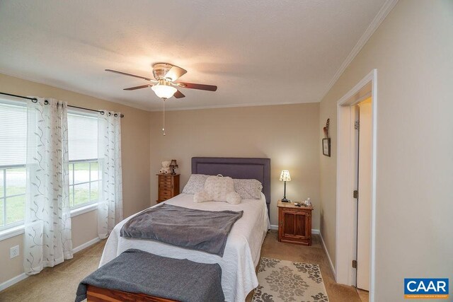 763 Findlay Mountain Rd, Shipman, VA 22971 - bedroom featuring light colored carpet, baseboards, crown molding, and ceiling fan