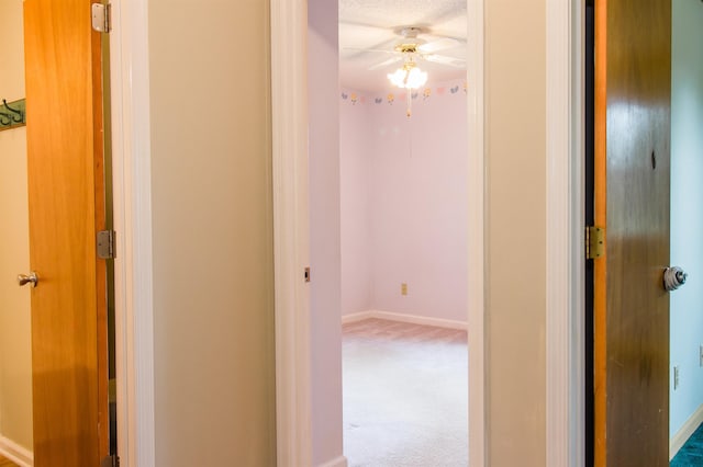 320 Williamsport Rd, Timberville, VA 22853 - photo 17