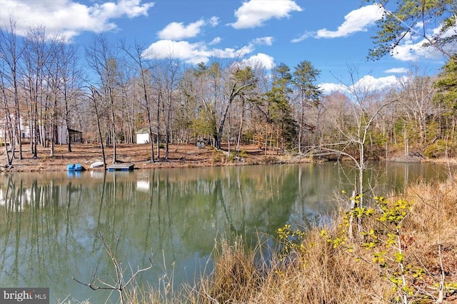 7610 Downstream Ct, Fredericksburg, VA 22408 - photo 62