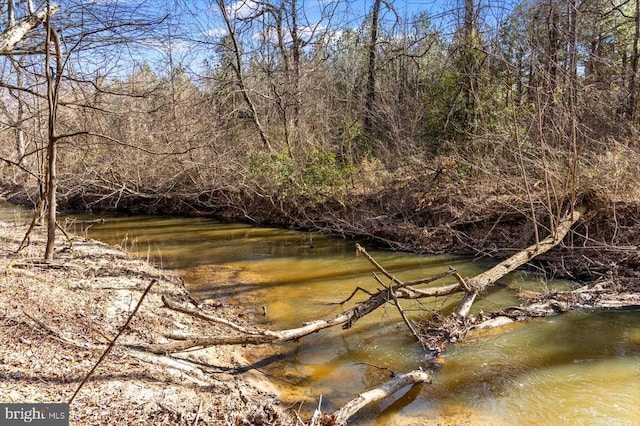 view of undeveloped land