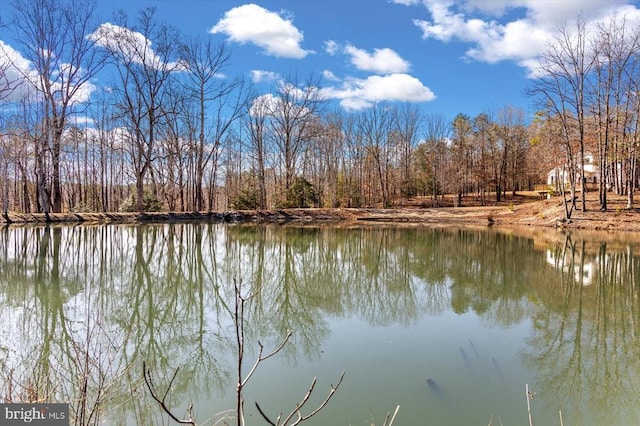 7610 Downstream Ct, Fredericksburg, VA 22408 - photo 63
