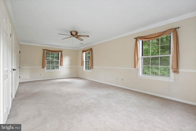  - carpeted empty room with ceiling fan and ornamental molding