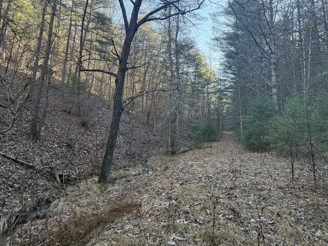 21ACRES Buck Hill Ln, Sugar Grove, WV 26815