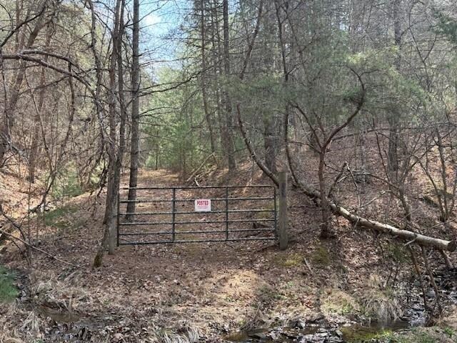 21ACRES Buck Hill Ln, Sugar Grove, WV 26815