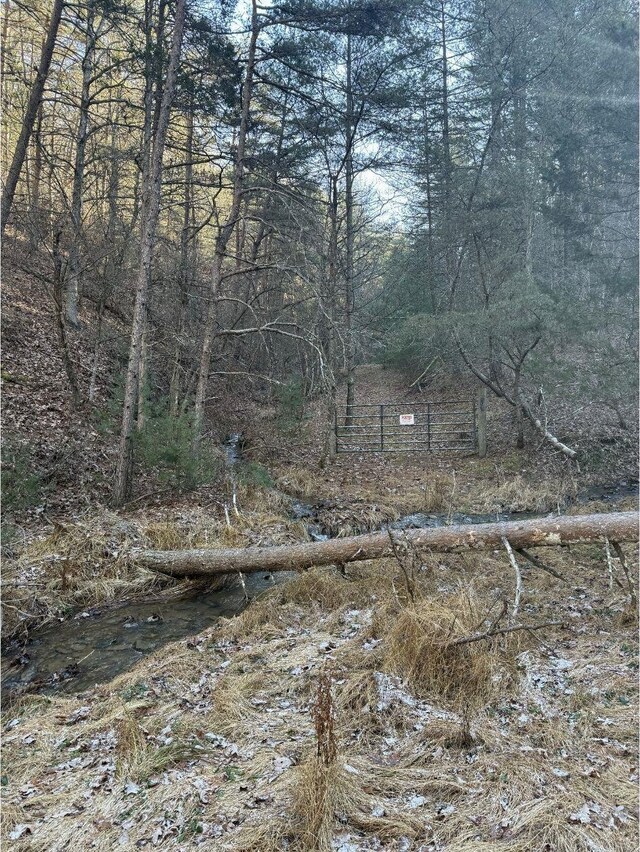 21ACRES Buck Hill Ln, Sugar Grove, WV 26815