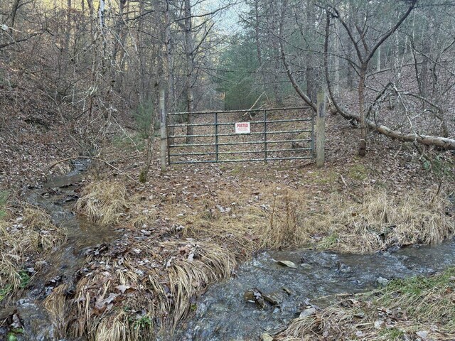 21ACRES Buck Hill Ln, Sugar Grove, WV 26815