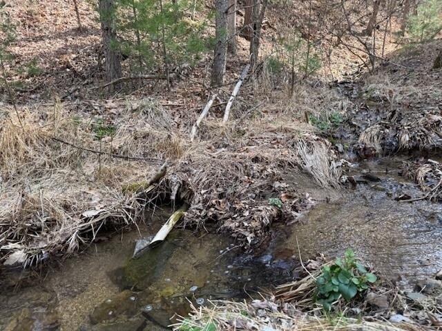 21ACRES Buck Hill Ln, Sugar Grove, WV 26815