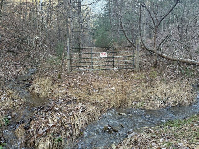 21ACRES Buck Hill Ln, Sugar Grove, WV 26815