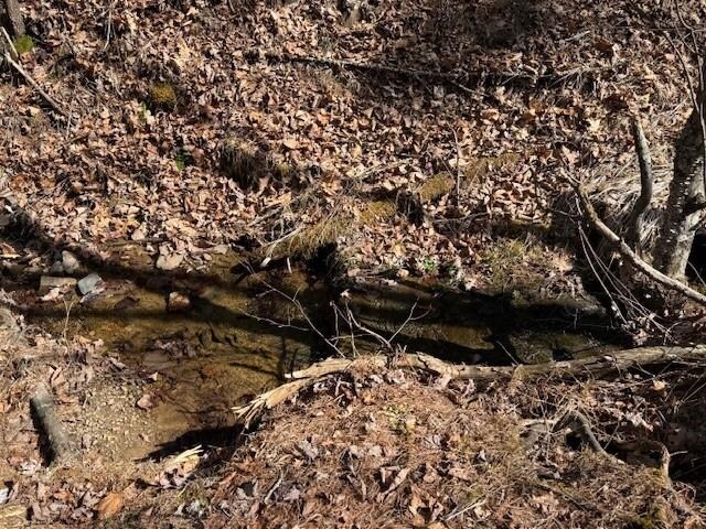 21ACRES Buck Hill Ln, Sugar Grove, WV 26815