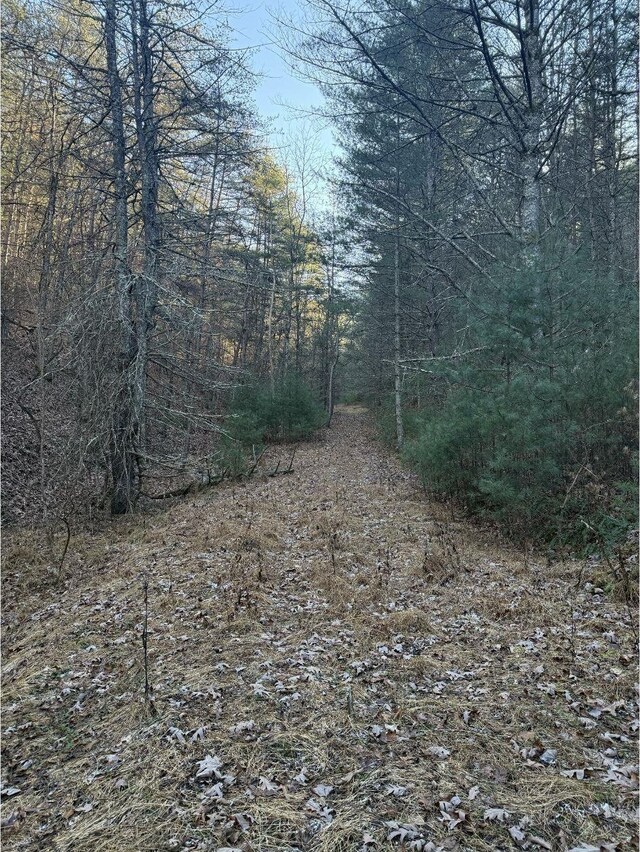 21ACRES Buck Hill Ln, Sugar Grove, WV 26815