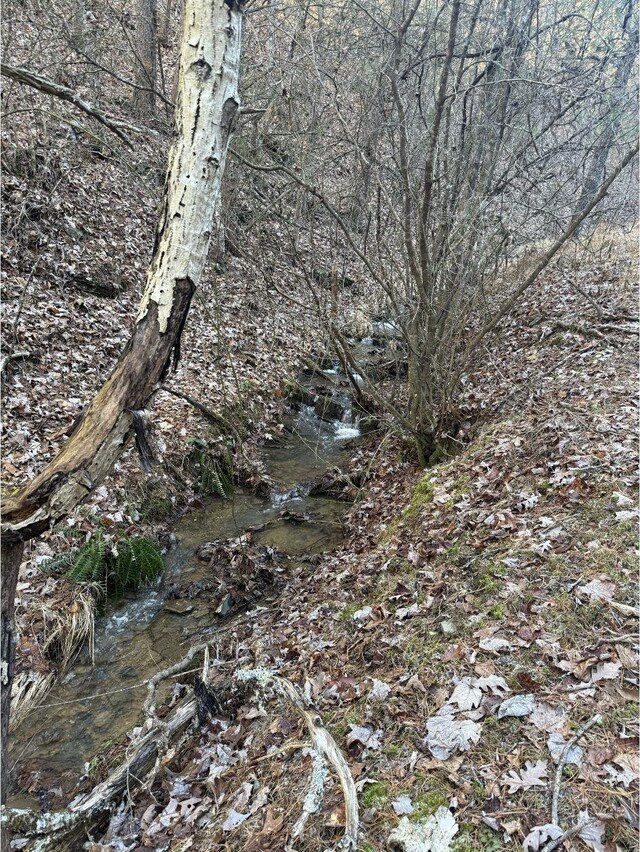 21ACRES Buck Hill Ln, Sugar Grove, WV 26815