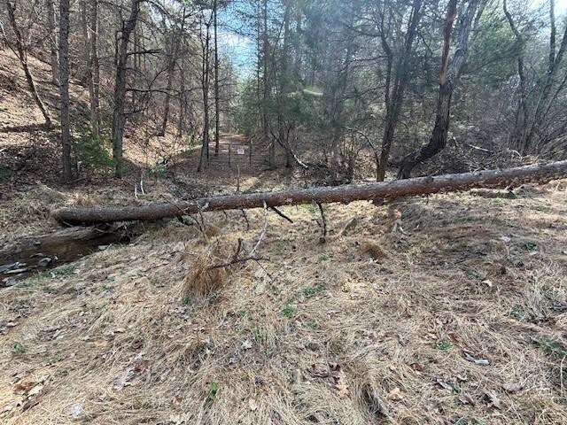 21ACRES Buck Hill Ln, Sugar Grove, WV 26815