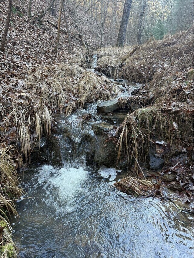 21ACRES Buck Hill Ln, Sugar Grove, WV 26815