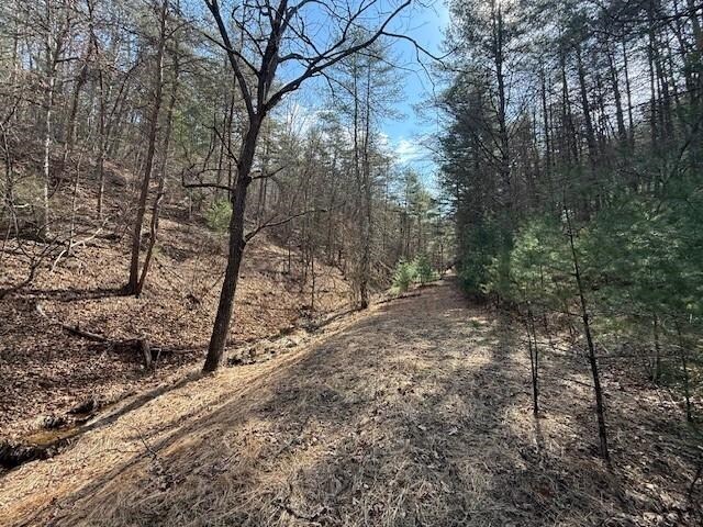 21ACRES Buck Hill Ln, Sugar Grove, WV 26815