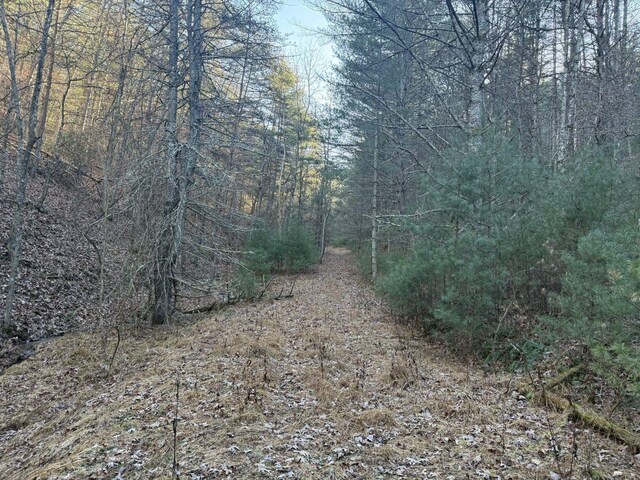 21ACRES Buck Hill Ln, Sugar Grove, WV 26815