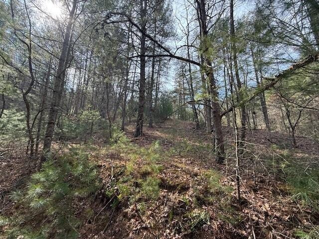 21ACRES Buck Hill Ln, Sugar Grove, WV 26815
