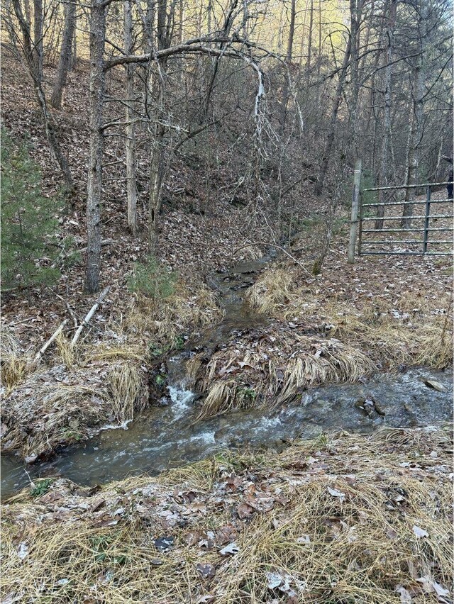 21ACRES Buck Hill Ln, Sugar Grove, WV 26815
