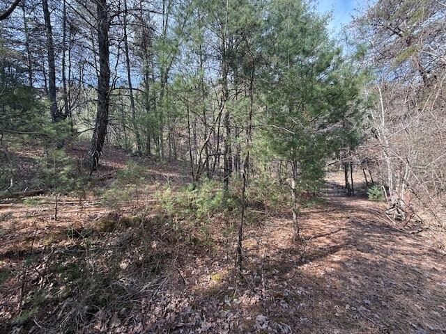 21ACRES Buck Hill Ln, Sugar Grove, WV 26815