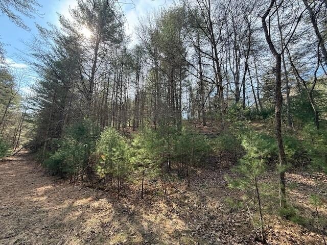 21ACRES Buck Hill Ln, Sugar Grove, WV 26815