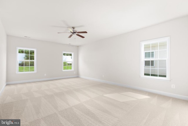 5618 Cedar Mountain Ct, Fredericksburg, VA 22407 - photo 23