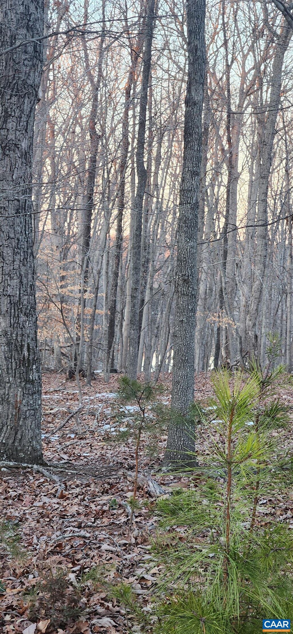 85 Laguna Rd, Palmyra, VA 22963