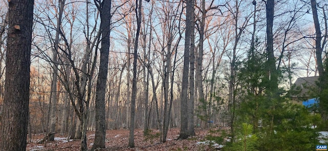 85 Laguna Rd, Palmyra, VA 22963