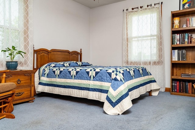 5213 Rawley Pike, Rockingham, VA 22801 - view of carpeted bedroom