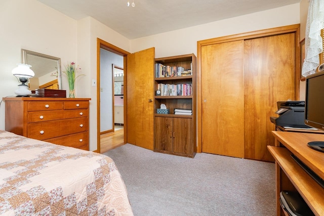 5213 Rawley Pike, Rockingham, VA 22801 - bedroom featuring a closet, carpet floors, and an office area