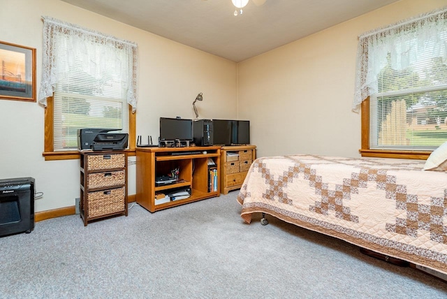 5213 Rawley Pike, Rockingham, VA 22801 - bedroom with carpet floors