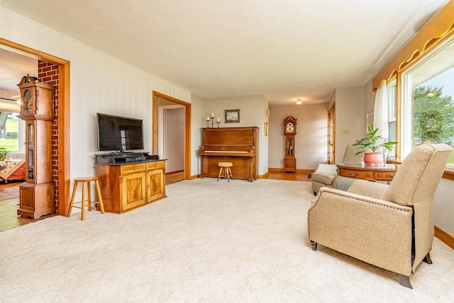5213 Rawley Pike, Rockingham, VA 22801 - living area featuring light carpet and baseboards