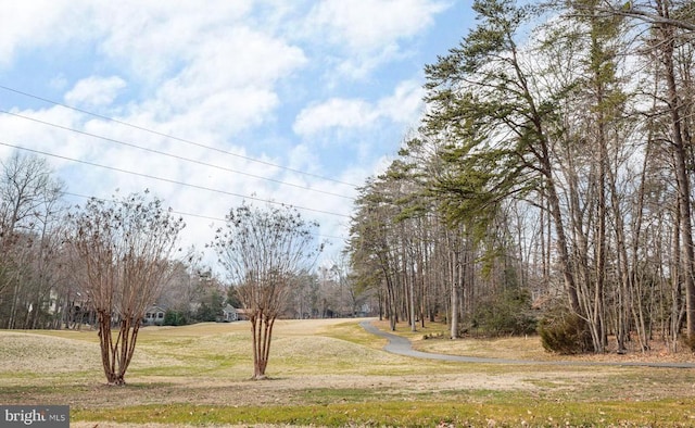 121 Jefferson Ave, Locust Grove, VA 22508 - view of grassy yard
