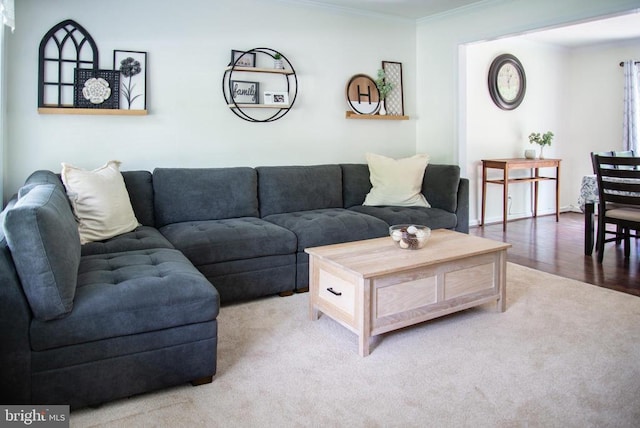 living room featuring ornamental molding and light colored carpet