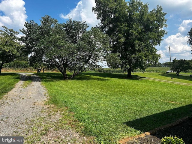 13018 Old Gordonsville Rd, Orange, VA 22960 - photo 16