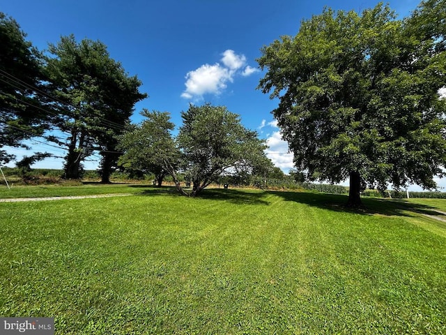 13018 Old Gordonsville Rd, Orange, VA 22960 - photo 17