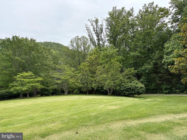 60 Mountain Breeze Ln, Syria, VA 22743 - view of grassy yard