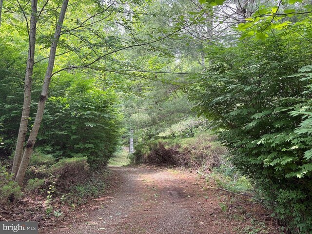 60 Mountain Breeze Ln, Syria, VA 22743 - view of woods