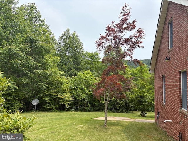 60 Mountain Breeze Ln, Syria, VA 22743 - view of grassy yard