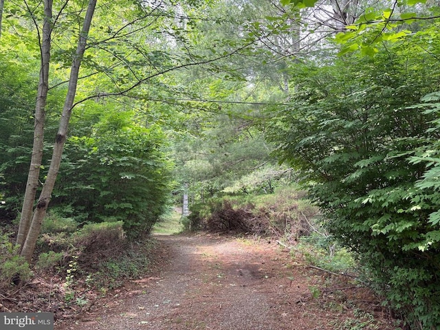 60 Mountain Breeze Ln, Syria, VA 22743 - view of wooded area