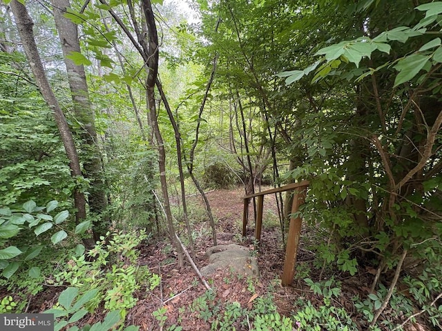 60 Mountain Breeze Ln, Syria, VA 22743 - view of tree filled area