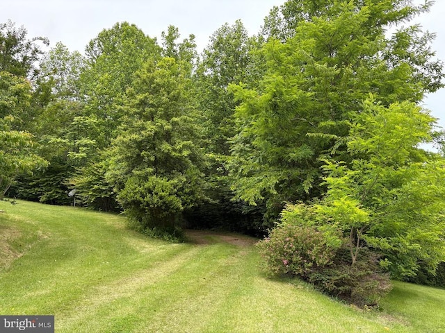 60 Mountain Breeze Ln, Syria, VA 22743 - view of green lawn