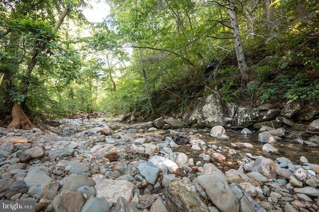 60 Mountain Breeze Ln, Syria, VA 22743 - view of woods