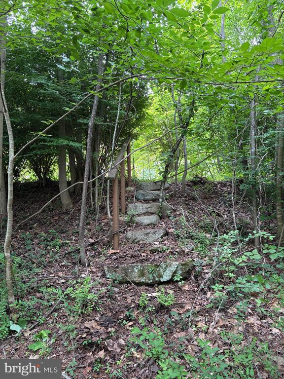 60 Mountain Breeze Ln, Syria, VA 22743 - view of nature