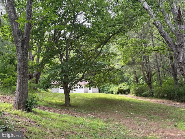60 Mountain Breeze Ln, Syria, VA 22743 - view of green lawn