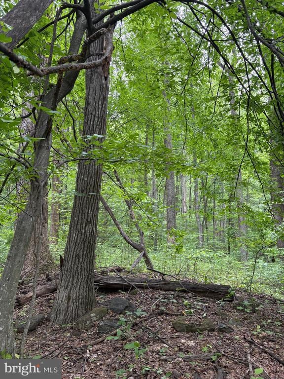 60 Mountain Breeze Ln, Syria, VA 22743 - view of woods