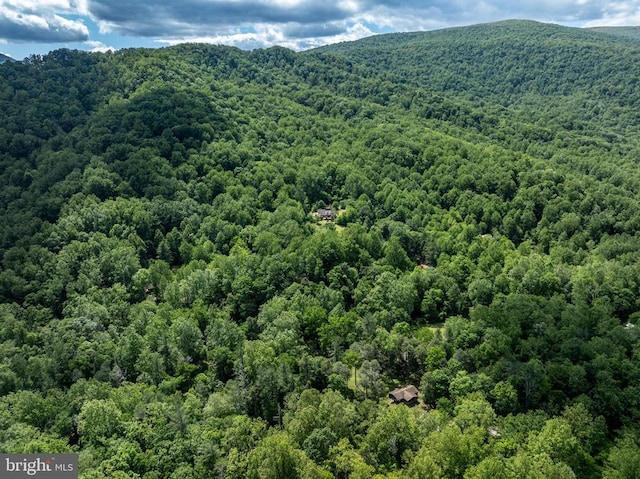 60 Mountain Breeze Ln, Syria, VA 22743 - view of mountain backdrop with a forest