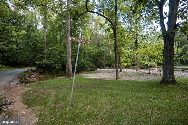 60 Mountain Breeze Ln, Syria, VA 22743 - view of green lawn