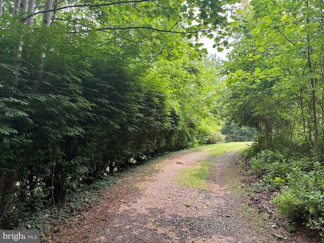 60 Mountain Breeze Ln, Syria, VA 22743 - view of street featuring a forest view